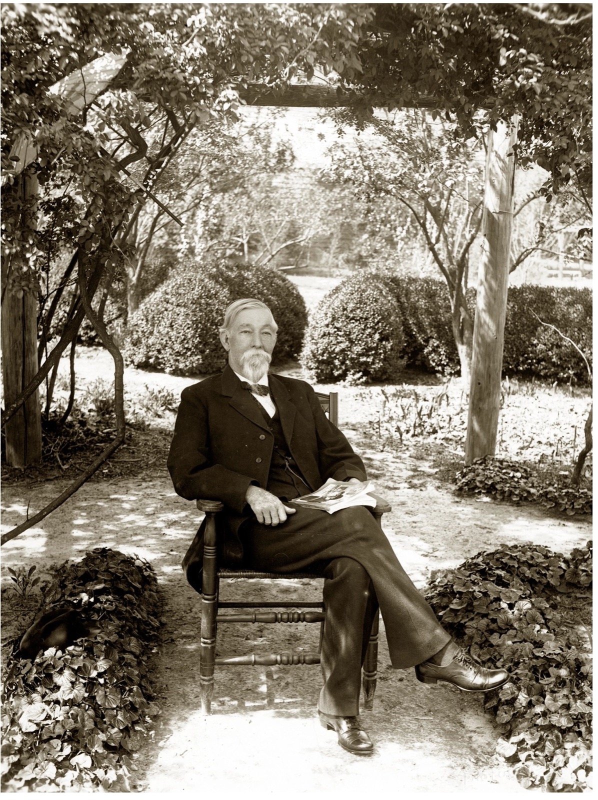 Coqueiro do Major James Lide