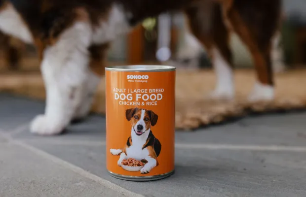 : Comida úmida para animais de estimação