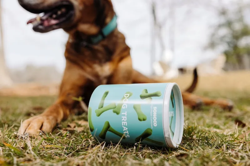 Guloseimas GreenCan para cães com cães