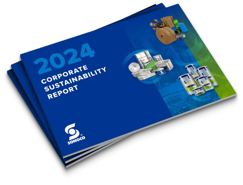 Relatório de sustentabilidade corporativa, 2024